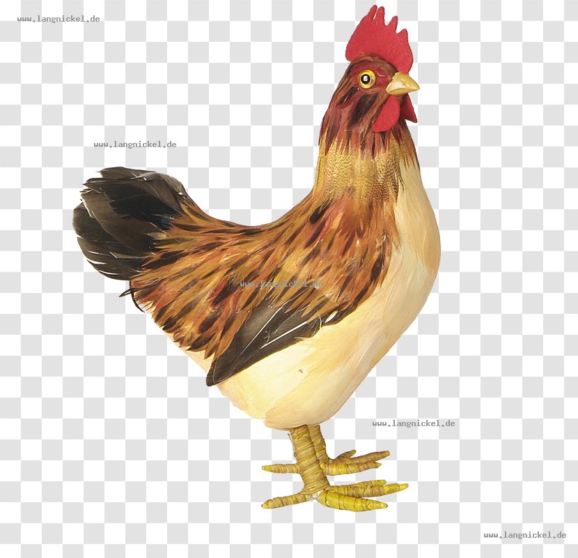 Rooster Chicken Hare Ornament Egg - Bird Transparent PNG