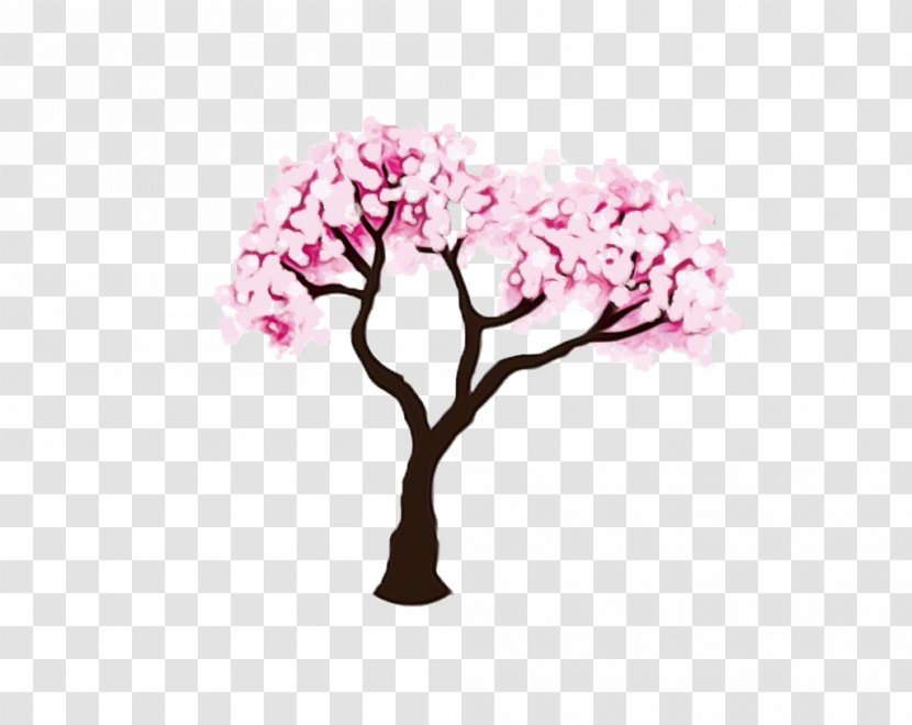 Cherry Blossom - Flower - Spring Woody Plant Transparent PNG
