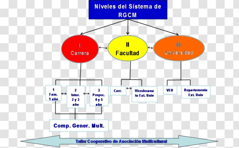 Competencia Organization Multiculturalism Gestión Chart - Business Process Management - Yorki Transparent PNG