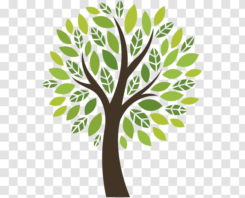 Tree Of Life - Branch - Flower Oak Transparent PNG