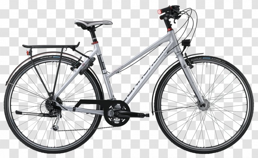 single speed hybrid bicycle