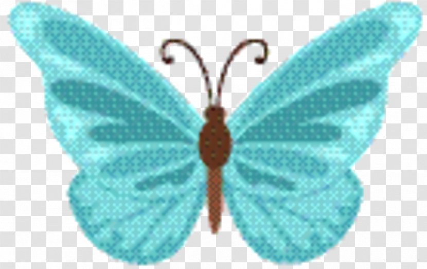 Butterfly Cartoon - Wing - Lycaenid Symmetry Transparent PNG