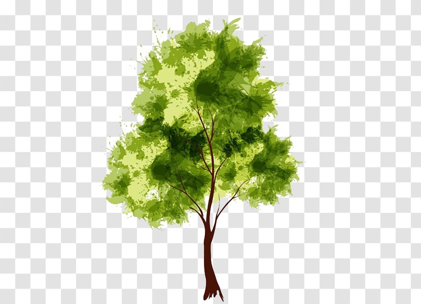 Watercolor Painting Drawing Tree - Ninety Transparent PNG