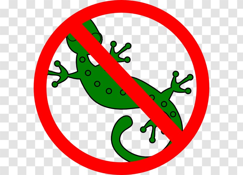 Clip Art Lizard Reptile Chameleons Gecko Transparent PNG