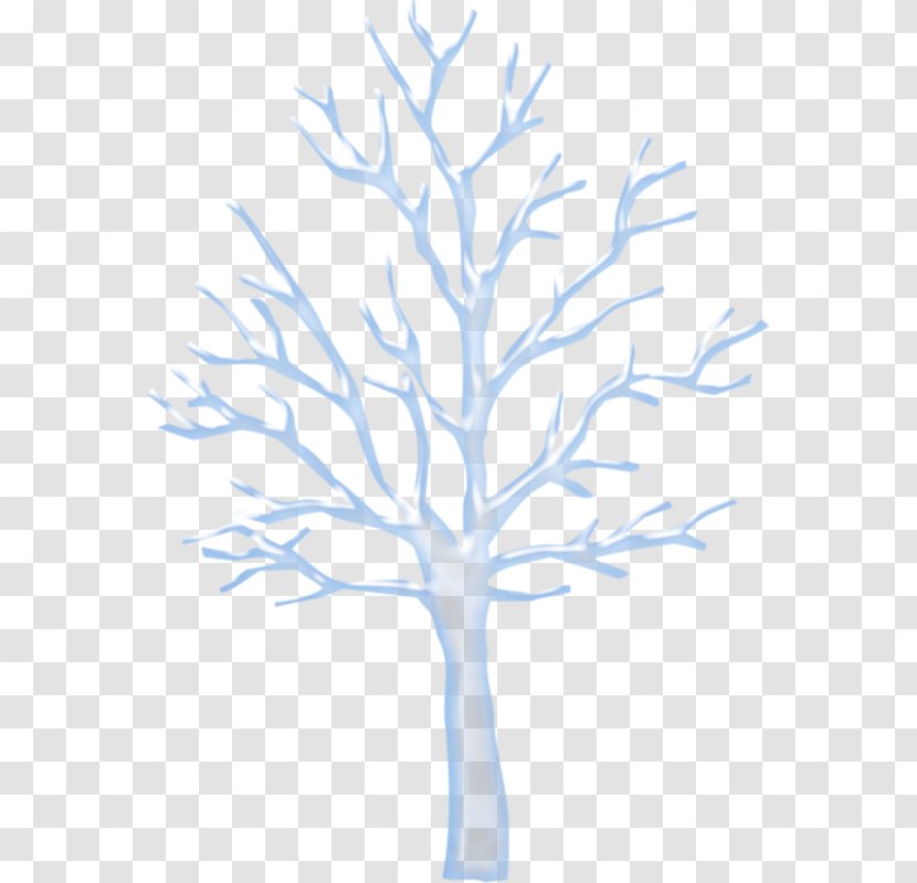 Clip Art Tree Trunk Image - White Aspen Arbre Transparent PNG