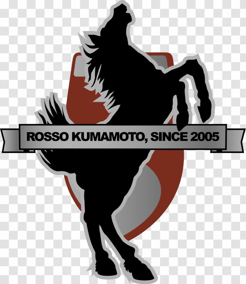Roasso Kumamoto J2 League Avispa Fukuoka Kamatamare Sanuki - Fagiano Okayama - Football Transparent PNG