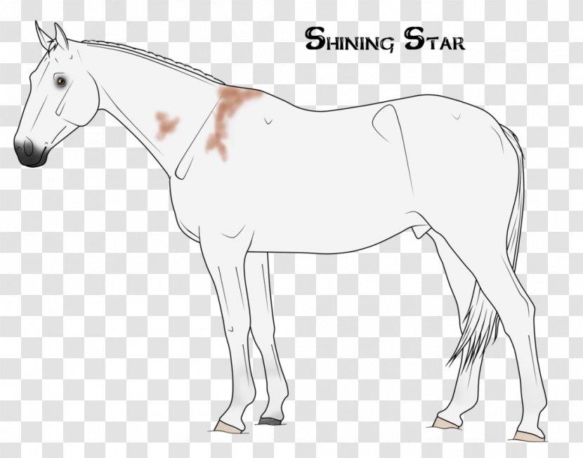 Mule Foal Stallion Mustang Pony - Mane - Shining Star Transparent PNG