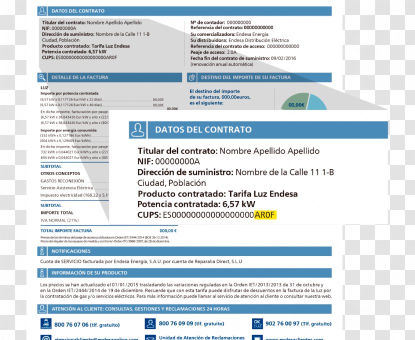 Endesa Organization Técnicas Reunidas Natural Gas Iberdrola - Software - Campaign Transparent PNG