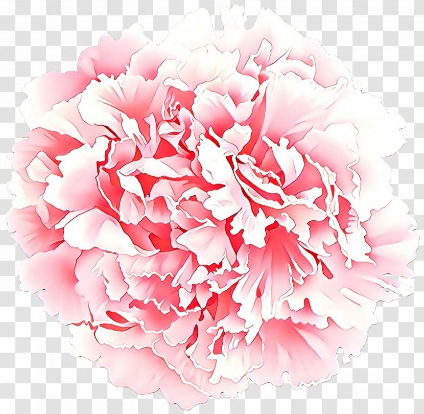 Pink Flower Cartoon - Dianthus - Hydrangea Transparent PNG