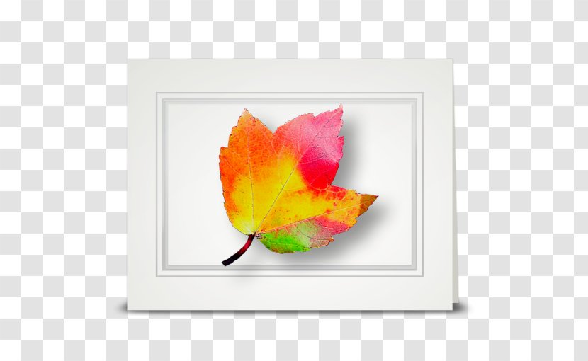 Flower Maple Leaf Petal Cottage - Sunflower Transparent PNG