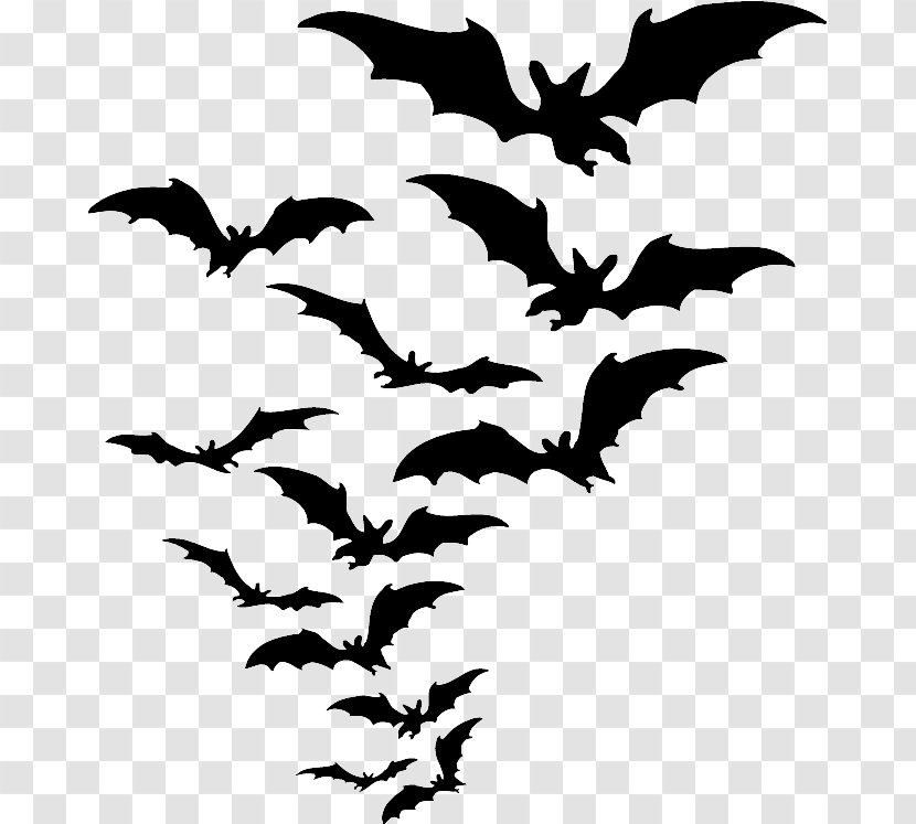 Clip Art Batman Loonatic Image - Plant - Bats Transparent PNG