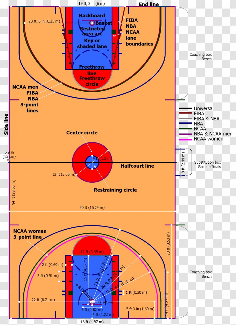 NBA Basketball Court Three-point Field Goal Game - Tree Transparent PNG
