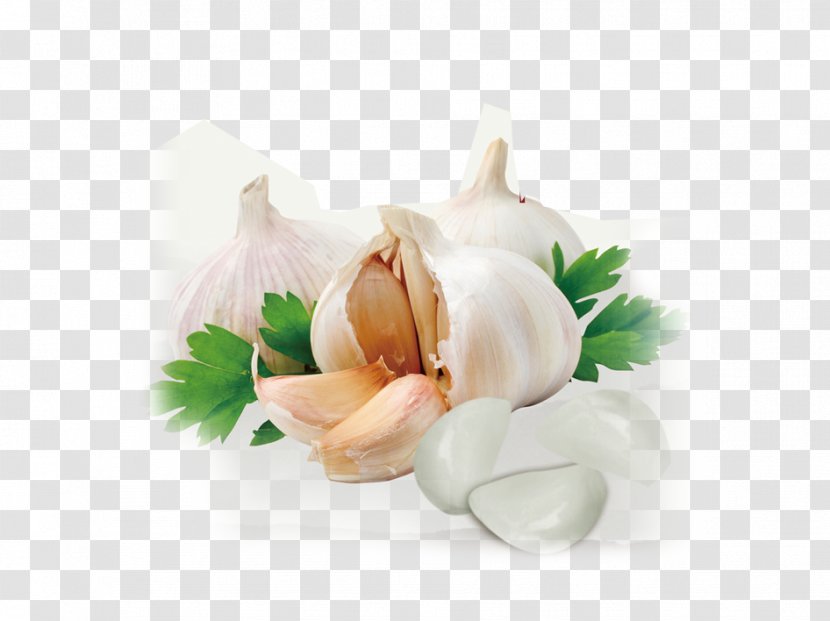 Solo Garlic Clip Art - Flowering Plant Transparent PNG