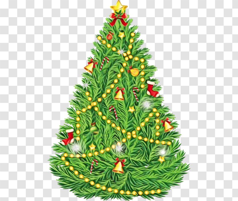 Christmas Tree - Canadian Fir - Columbian Spruce Transparent PNG