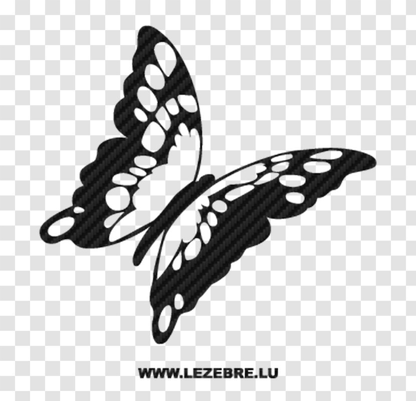 Monarch Butterfly Drawing Coloring Book Line Art - Monochrome Photography Transparent PNG