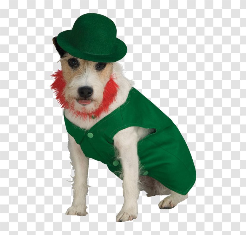 Dog Leprechaun Halloween Costume Saint Patrick's Day - Collar Transparent PNG