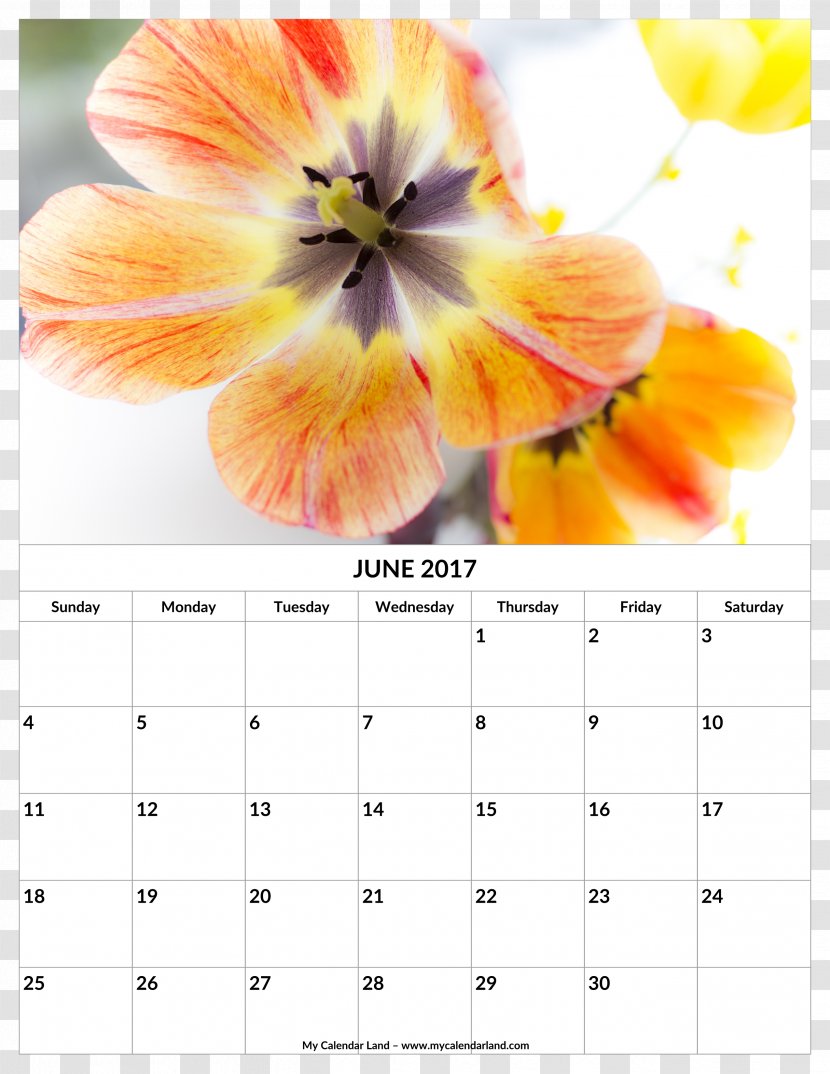 Greeting & Note Cards Wish Birthday Happiness - Flower Rattan Calendar Template Transparent PNG