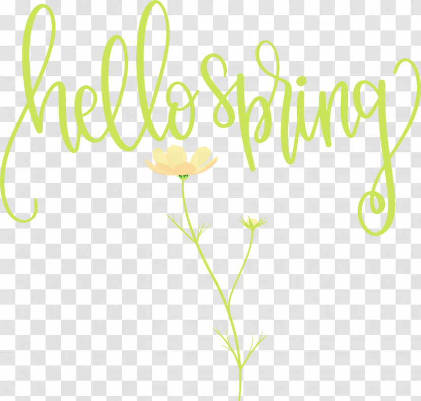 Floral Design Transparent PNG