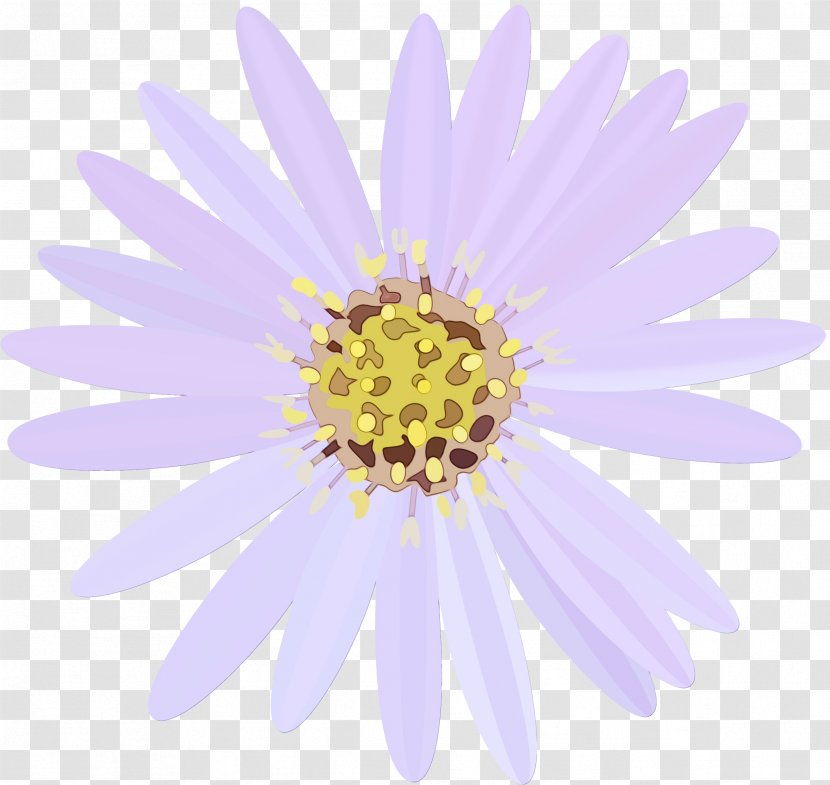 Watercolor Pink Flowers - Wet Ink - Pollen Asterales Transparent PNG