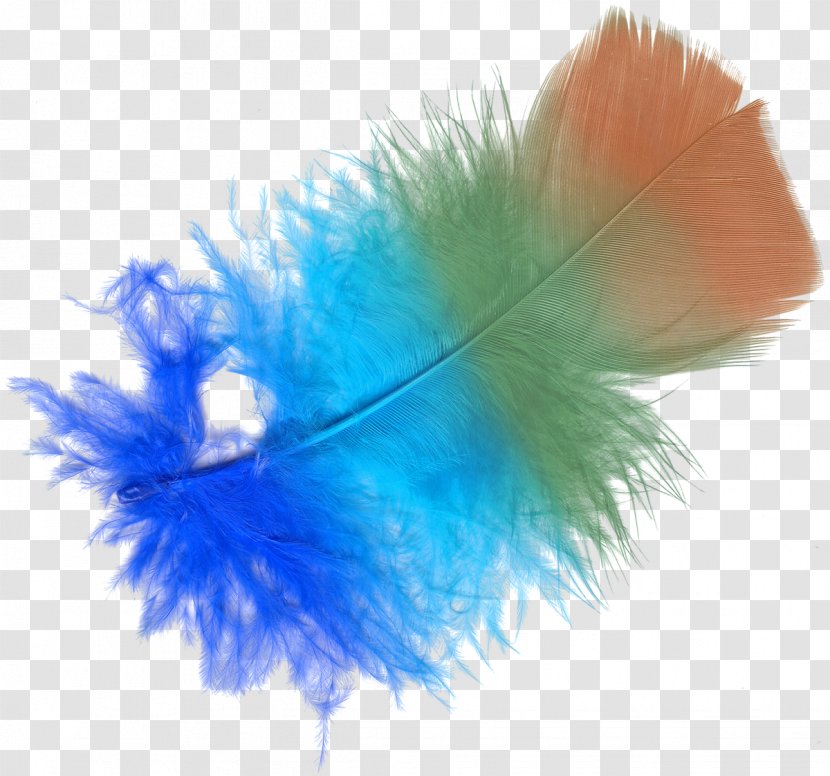 Feather Color Lossless Compression - Data Transparent PNG