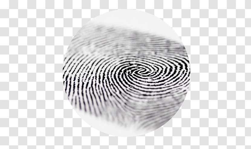 Fingerprint Technology Thumb Stock Photography - Black And White - Standalone Power System Transparent PNG