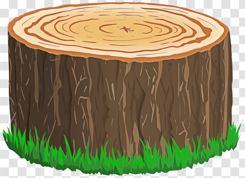 Tree Stump - Table - Grass Transparent PNG