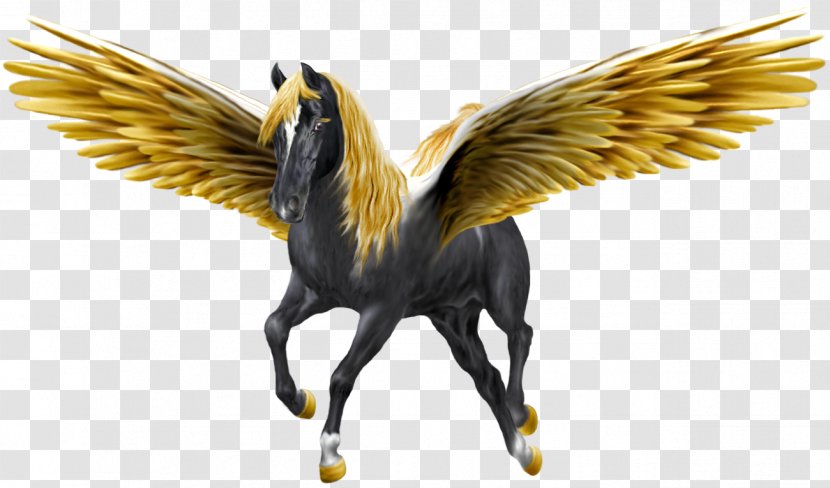 Pegasus Desktop Wallpaper Horse Unicorn - Organism - Clipart Transparent PNG