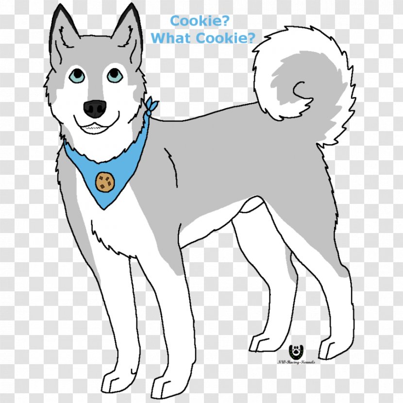 Kishu Siberian Husky Shikoku Dog Breed Puppy - Whiskers Transparent PNG