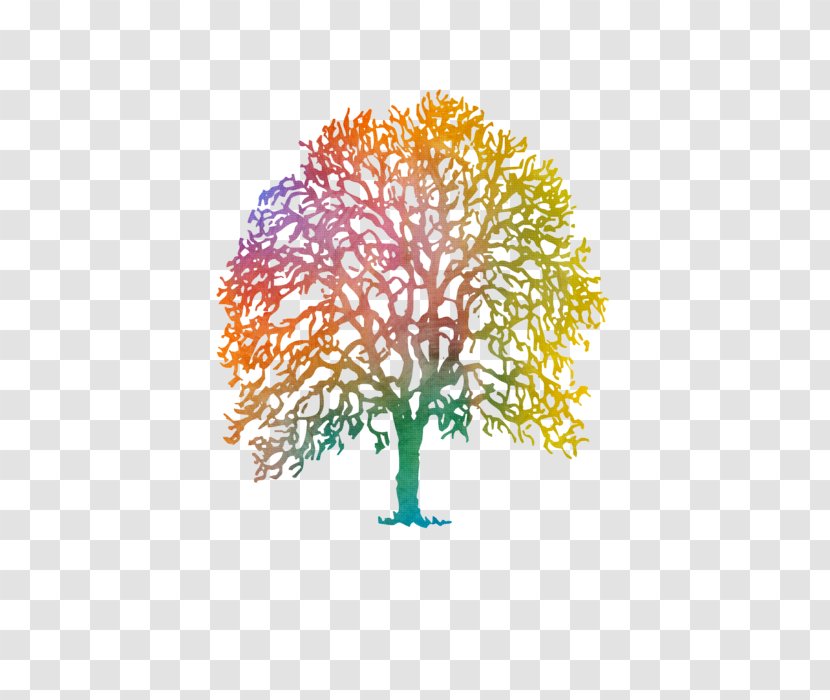 Line Branching Kohu Road Ltd - Tree - Colorful Painting Transparent PNG