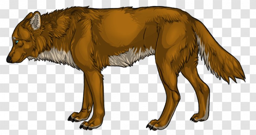 Dog Red Wolf Gray Furry Fandom - Reference Transparent PNG