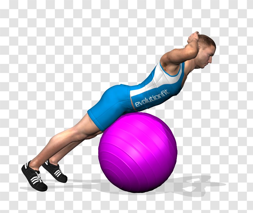 Exercise Balls Pilates Hyperextension Medicine - Silhouette - Yoga Ball Transparent PNG
