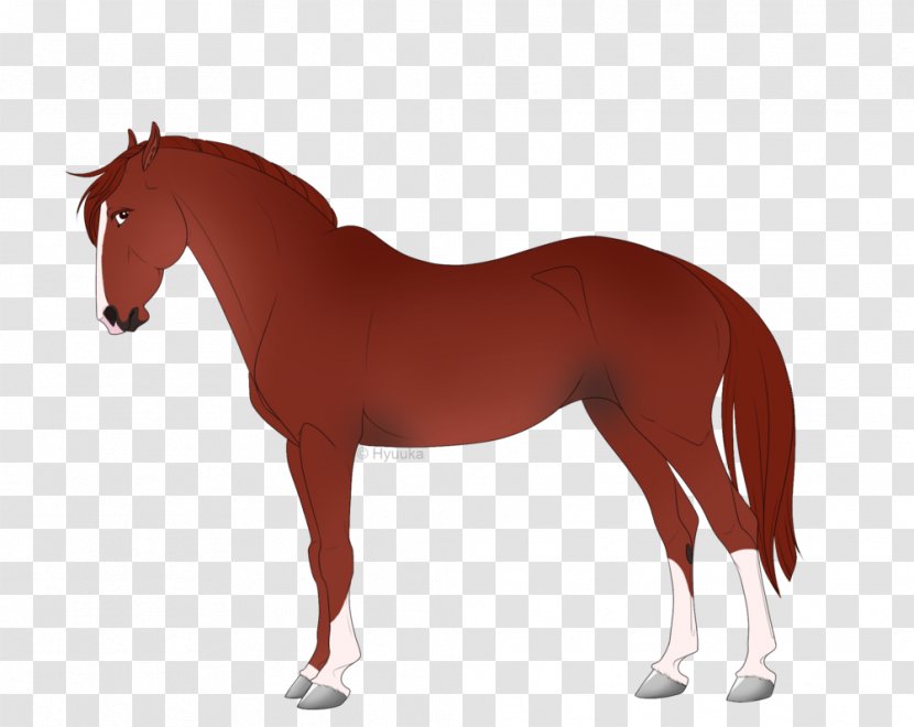 Horse Stallion Mare Royalty-free Transparent PNG