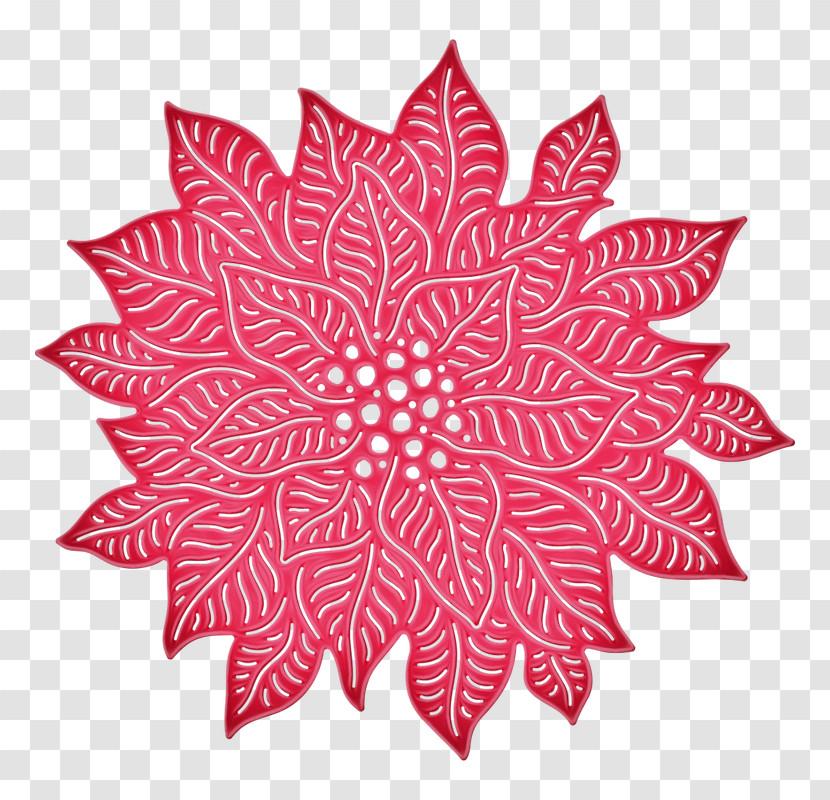 Leaf Poinsettia Red Pink Plant Transparent PNG