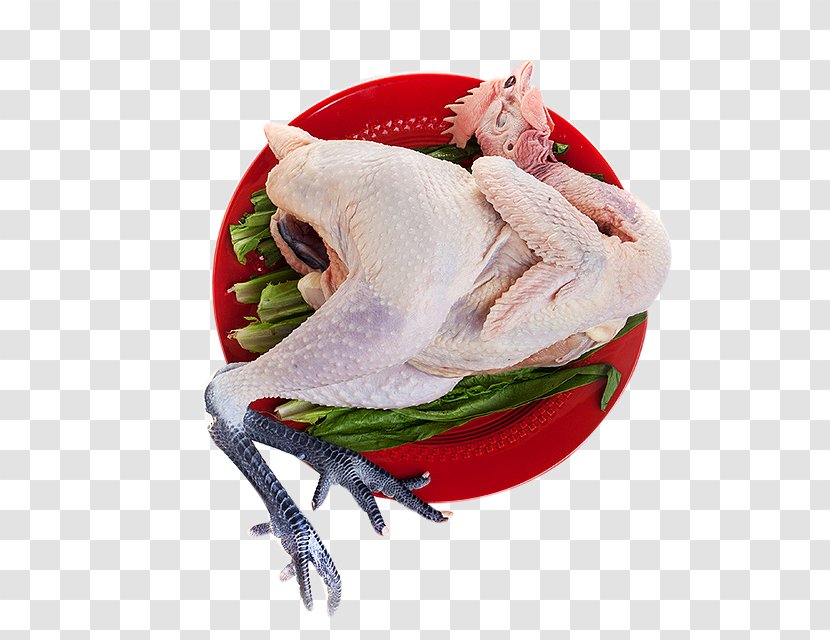 Chicken Meat Free Range Capon - Red Dish Filled With A Transparent PNG
