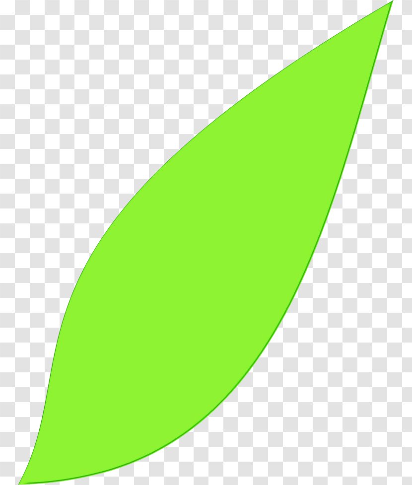 Green Leaf Watercolor - Logo - Plant Transparent PNG