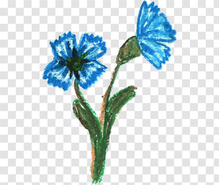 Flower Crayon - Pollinator - CRAYONS Transparent PNG