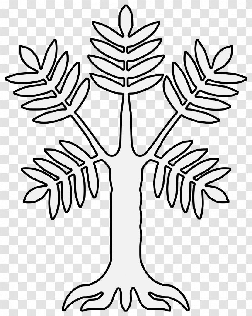 Line Art Leaf Tree Vascular Plant - Branch Grass Family Transparent PNG