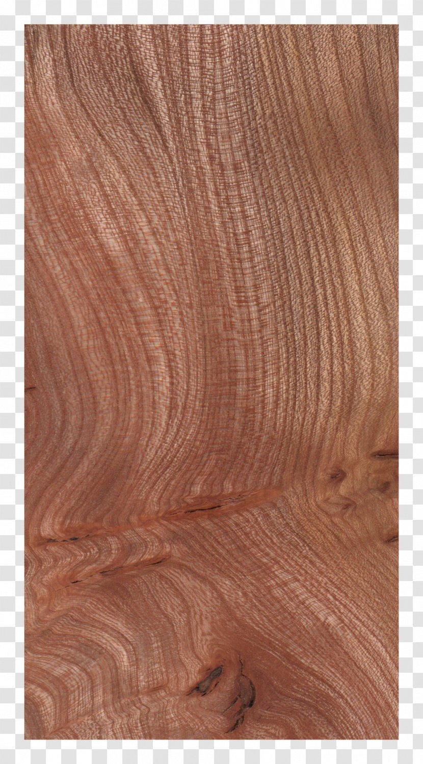 Sebastian Cox Ltd Hardwood Wood Flooring - Floor Transparent PNG