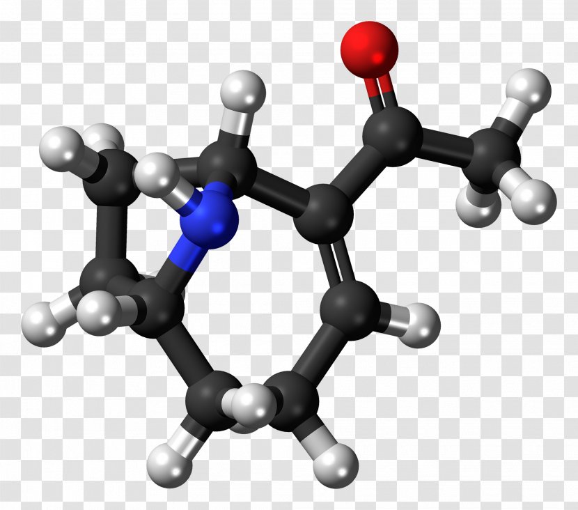 Anatoxin-a Ball-and-stick Model Phthalic Acid Molecule Chemistry - Chemical Substance Transparent PNG