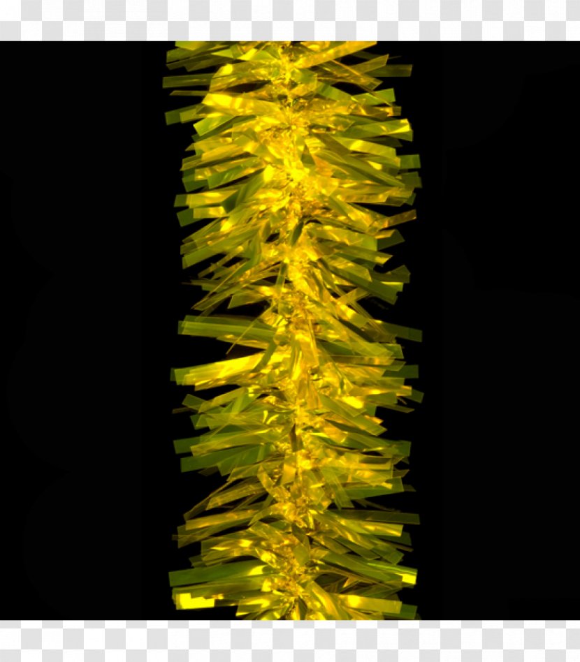 Garland Flower Lighting Northern Lights Display Organism Transparent PNG