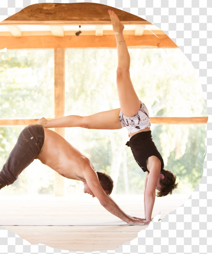 Yoga & Pilates Mats Health Lifestyle Clothing - Tree Transparent PNG