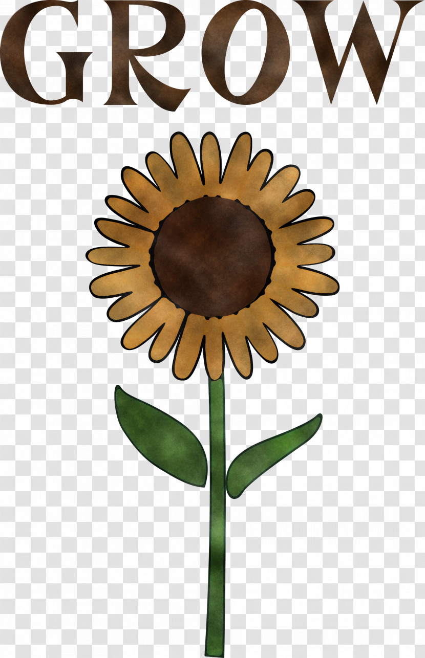 GROW Flower Transparent PNG