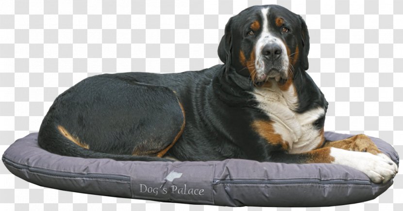 Bernese Mountain Dog Puppy Pet Training - Herding Transparent PNG