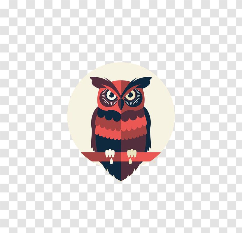 Owl Graphic Design Drawing Behance Illustration - Bird Of Prey Transparent PNG