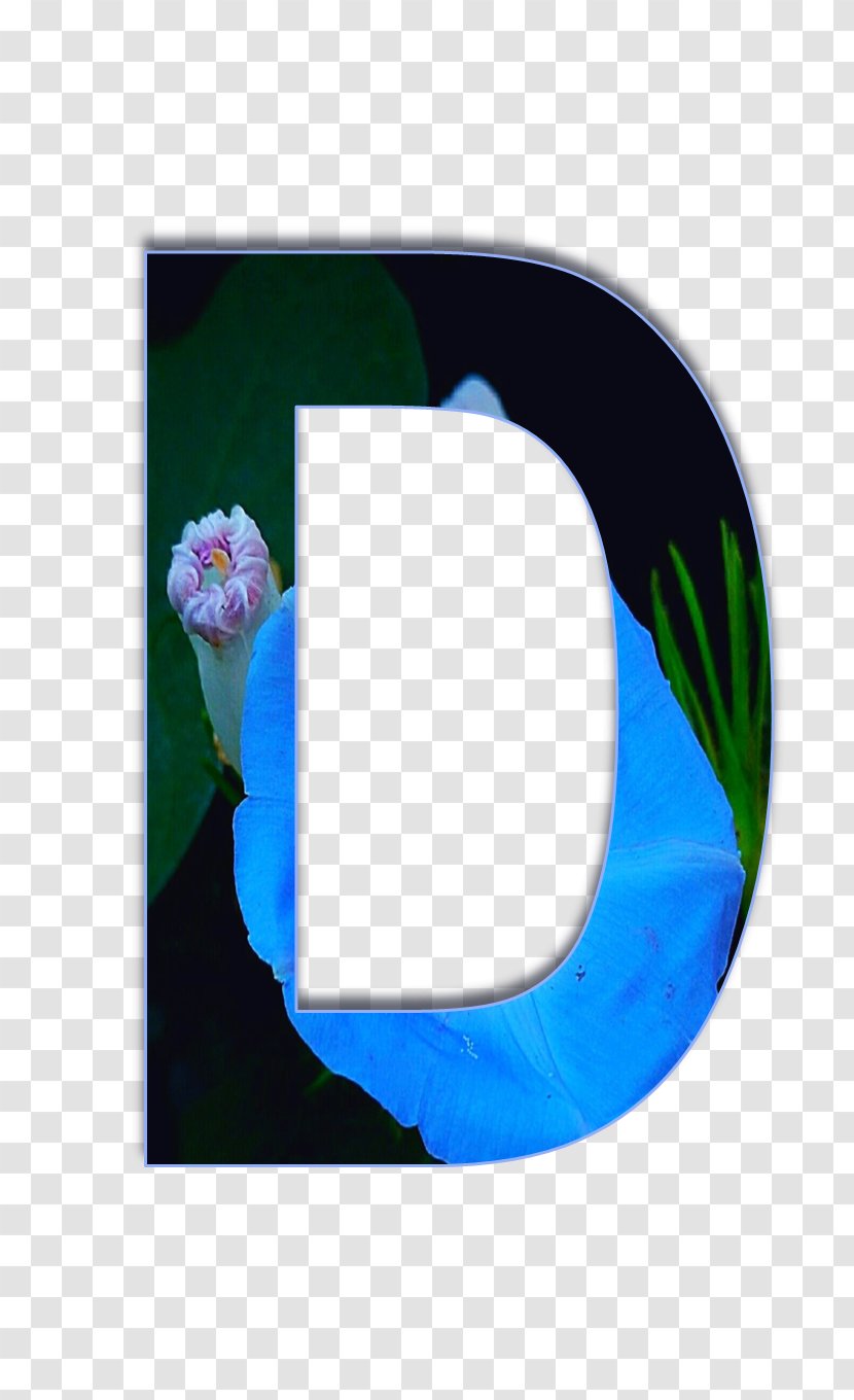 Blue Flower Frame - Oval - Plant Transparent PNG