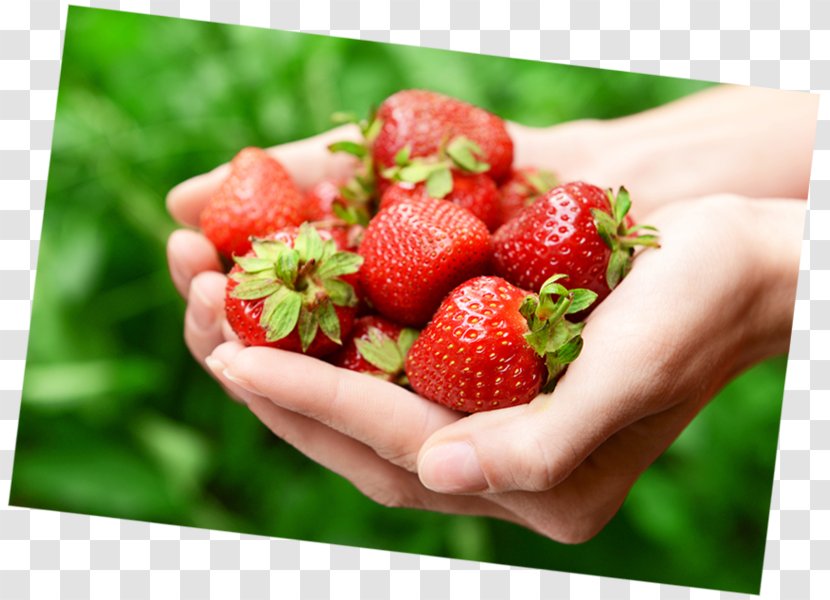Strawberry Auglis Food Adobe Systems - Strawberries Transparent PNG