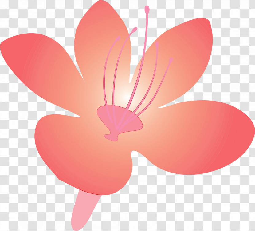 Pink Petal Flower Material Property Plant Transparent PNG