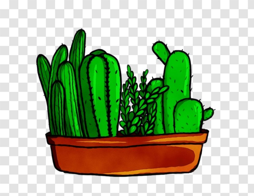 Cactus - Succulent Plant Caryophyllales Transparent PNG