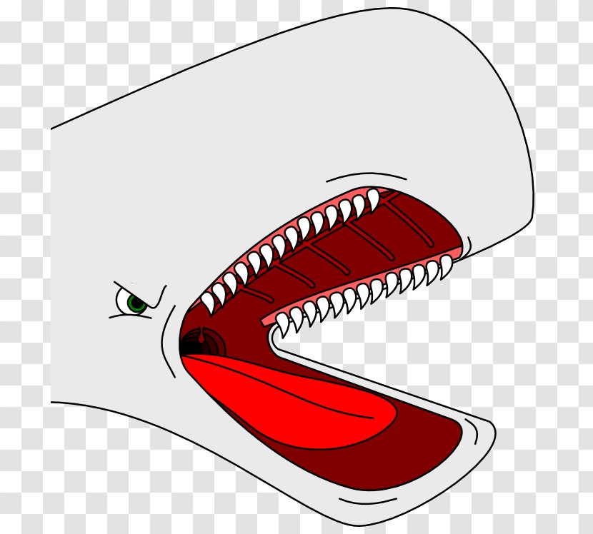 Whale Cartoon Drawing Clip Art - Comics Transparent PNG