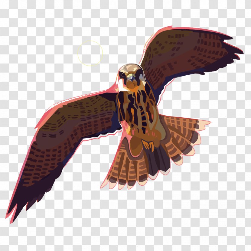 Eagle Drawing DeviantArt - Vecteur - Vector Transparent PNG